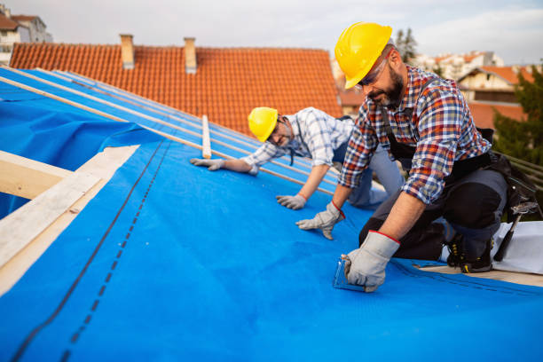 Best Roof Leak Repair  in Schererville, IN